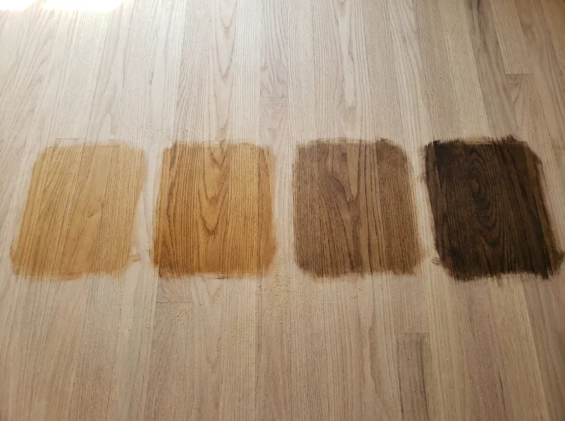 Four stain test patches from light honey to dark espresso on a freshly sanded red oak floor